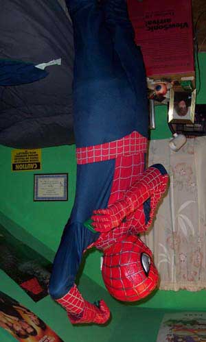 SpiderLex is Tight.  Tight like a tiger.